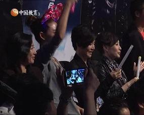 31娱乐,揭秘娱乐圈背后的精彩故事