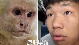 模仿猴子搞笑动作,模仿猴王搞笑动作，笑翻全场！